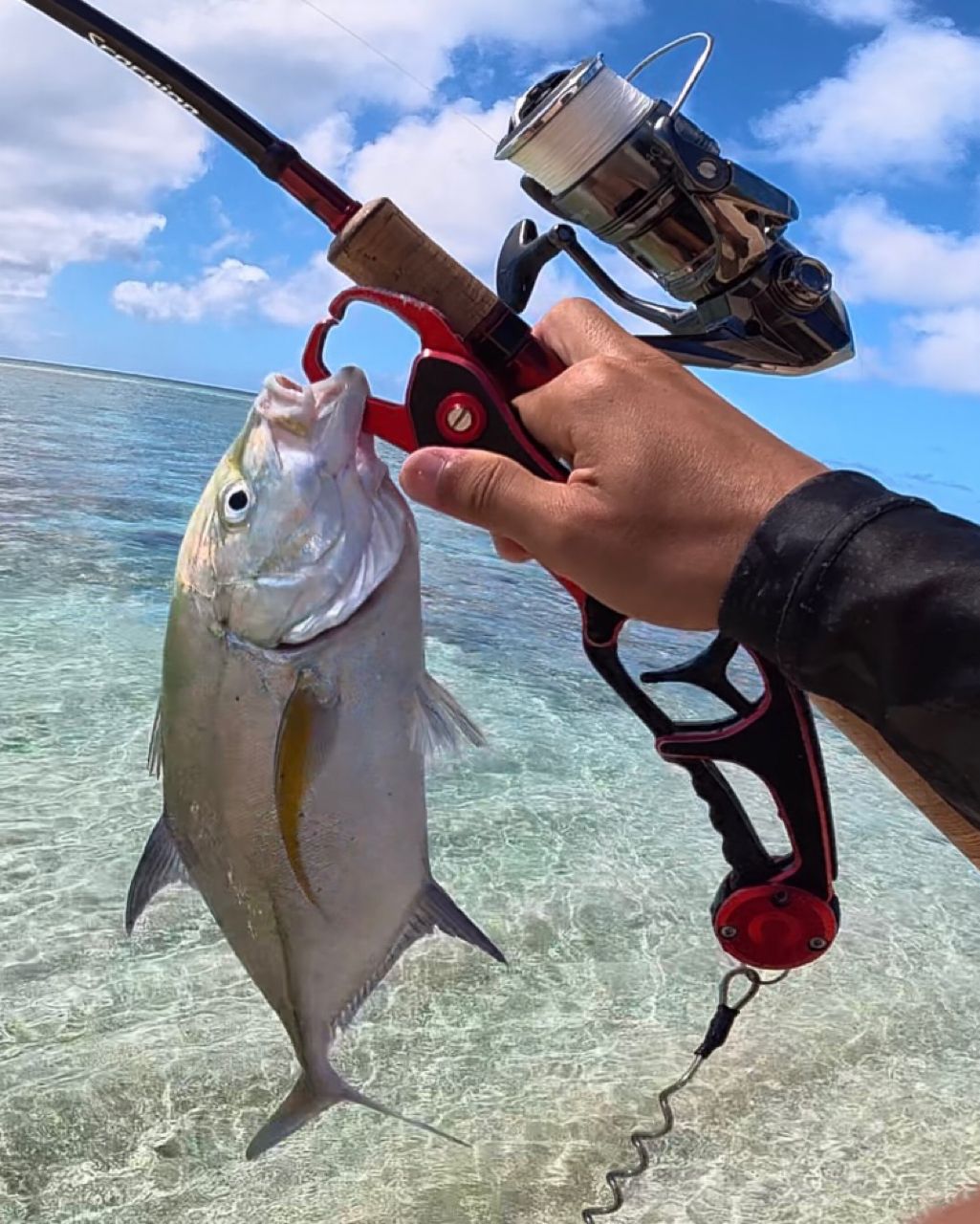 SHIMANO 19スコーピオン 2832RS-2の最安値・インプレ・釣果 | 本音の