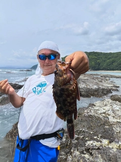 ガシラの釣果
