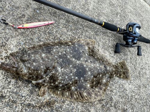 ヒラメの釣果