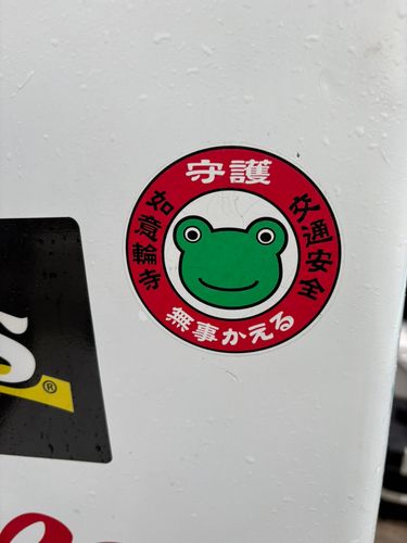 スルメイカの釣果