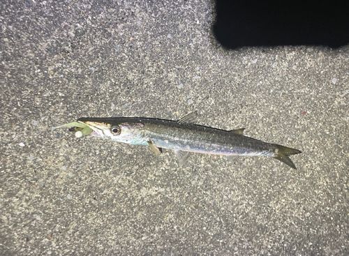 釣果