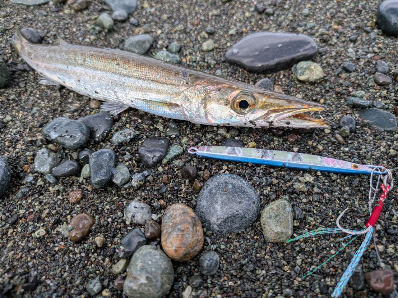 SHIMANO 20ルアーマチック MB S96M-4の最安値・インプレ・釣果 | 本音