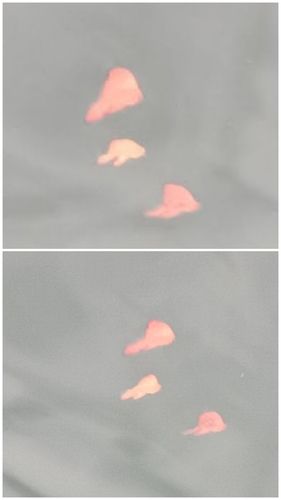 メッキの釣果