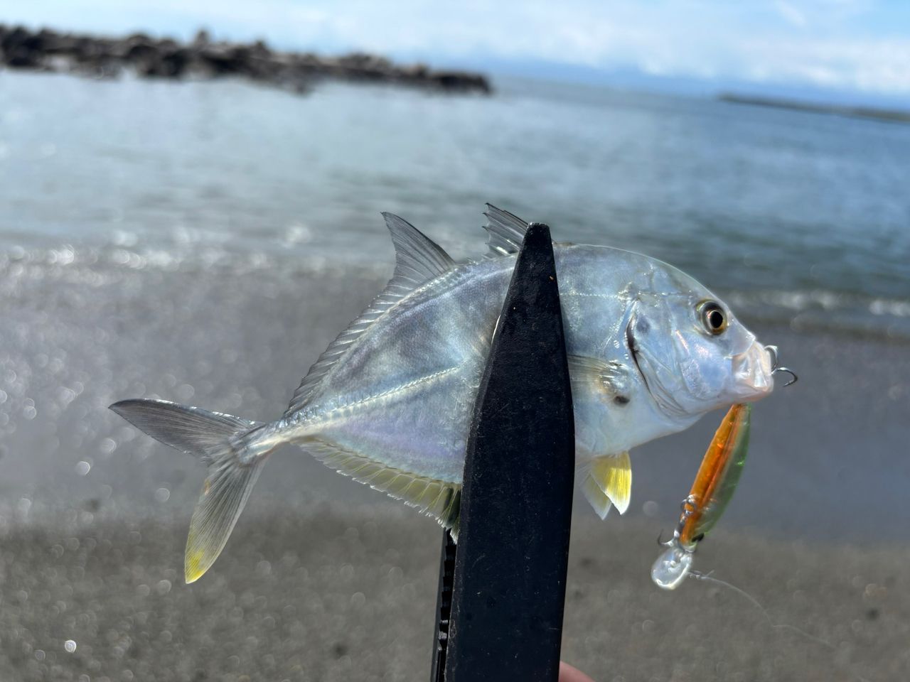 SHIMANO 23ソアレ BB アジング S64UL-Sの最安値・インプレ・釣果