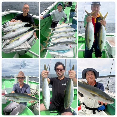ワラサの釣果