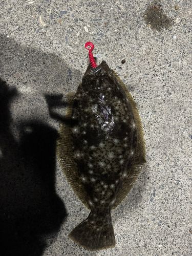 釣果