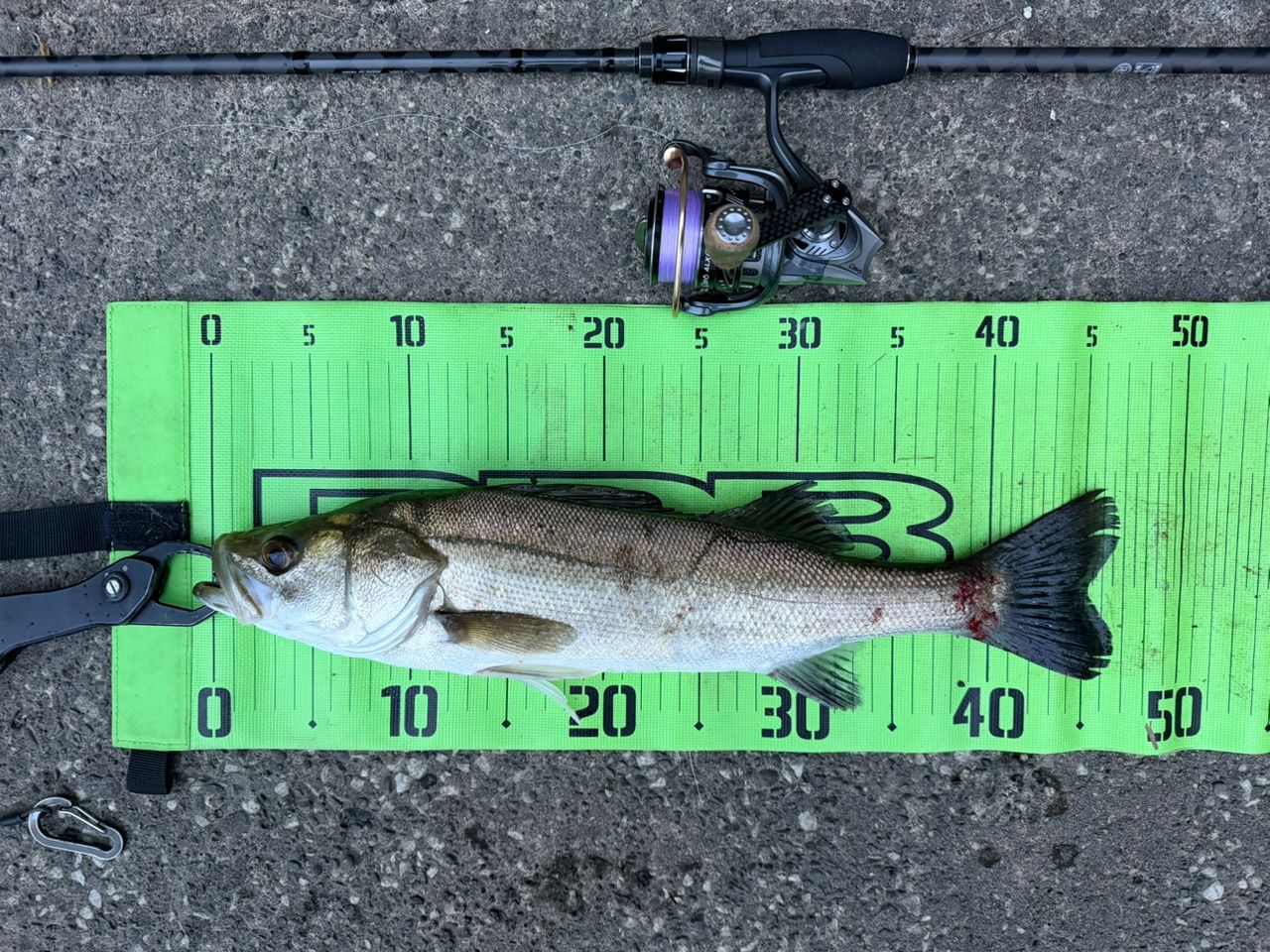 AbuGarcia ソルティースタイル クロダイ STKS-832ML-KRの最安値