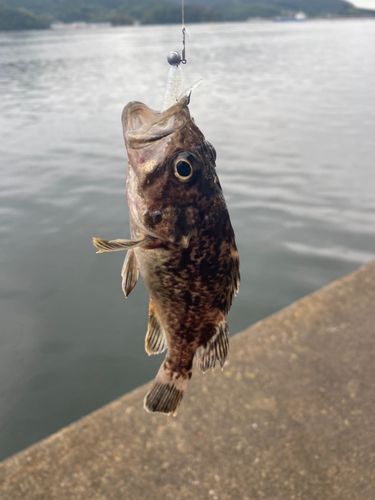 釣果