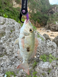 釣果