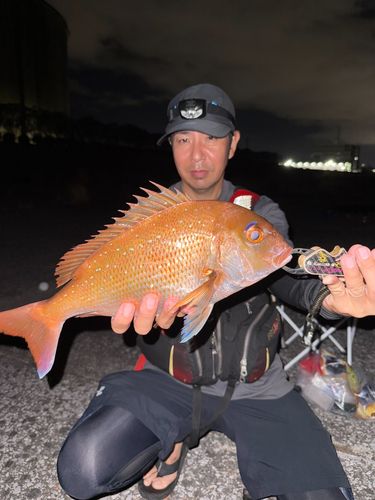 タイの釣果