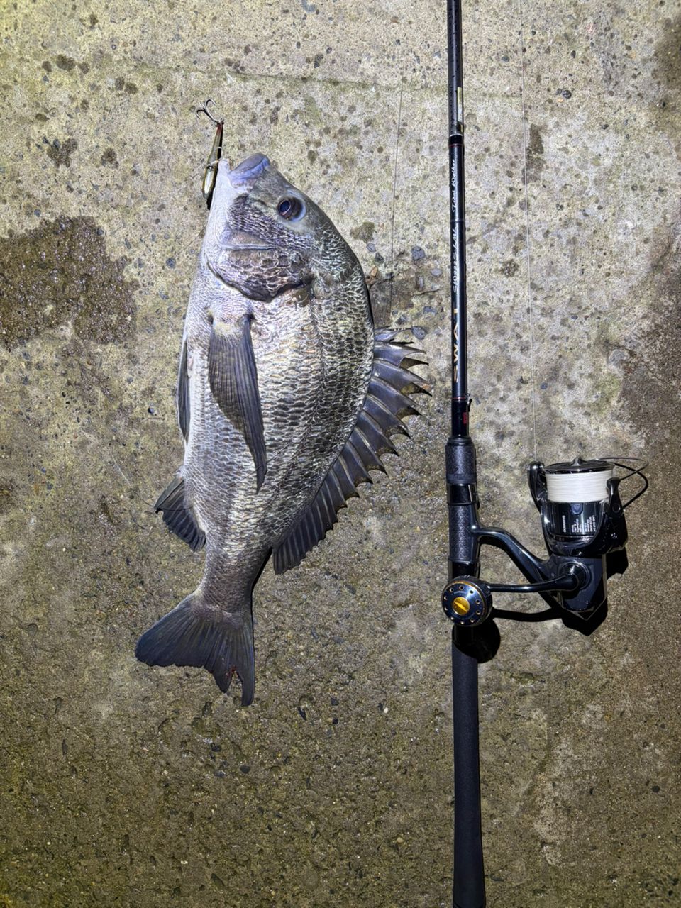 SHIMANO 22ステラ 4000MHGの釣果一覧 | 本音の口コミが集まる釣具通販