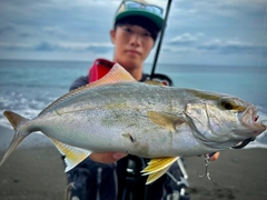 ショゴの釣果