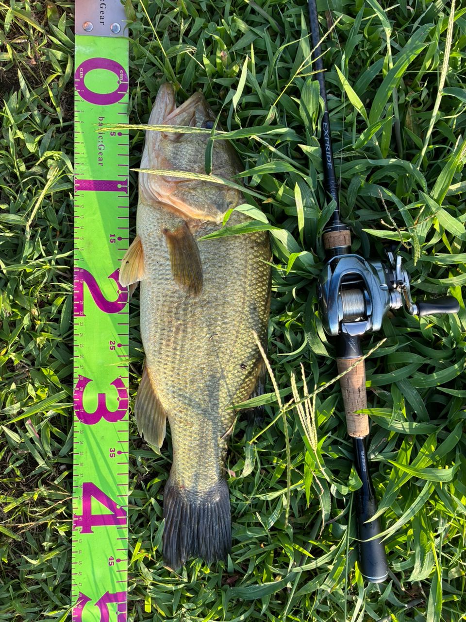 SHIMANO 22エクスプライド 165ML-BFSの最安値・インプレ・釣果 | 本音