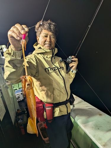 スルメイカの釣果