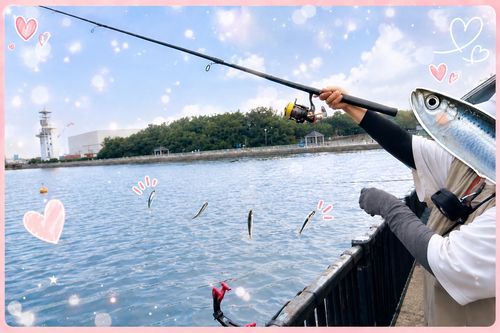 カタクチイワシの釣果