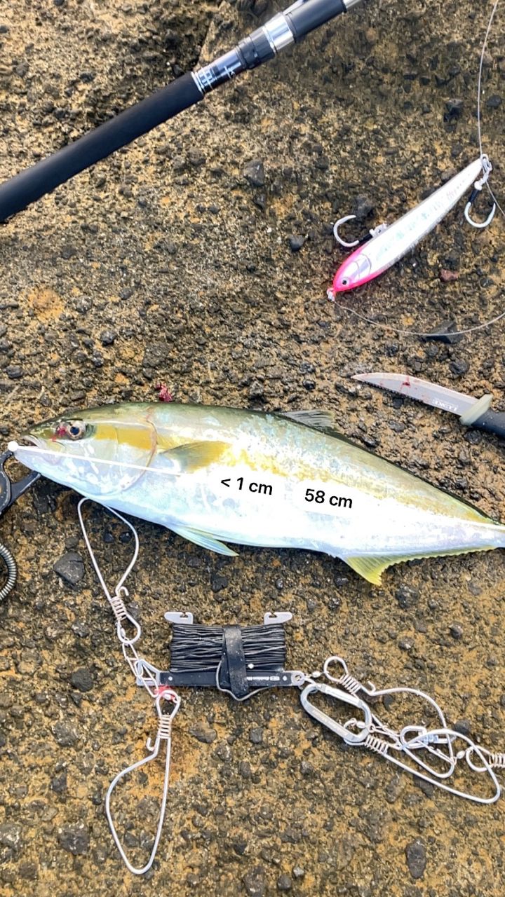 SHIMANO 20コルトスナイパー XR S100XH-3の最安値・インプレ・釣果