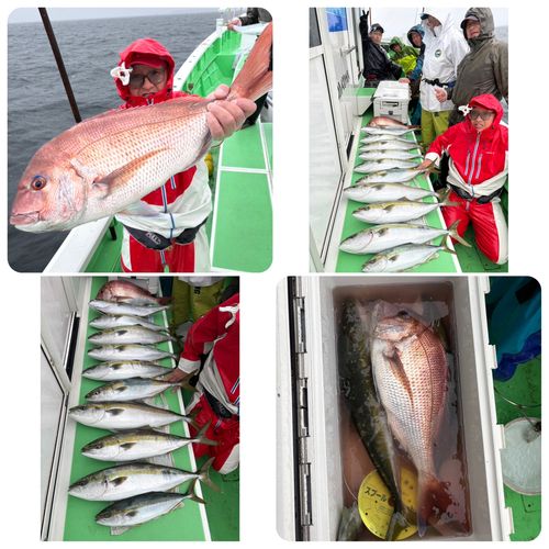 ワラサの釣果