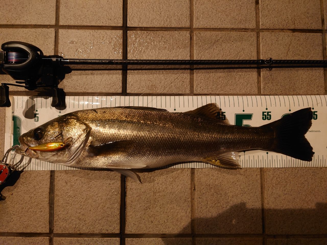 SHIMANO 22エクスプライド 172H-2の最安値・インプレ・釣果 | 本音の