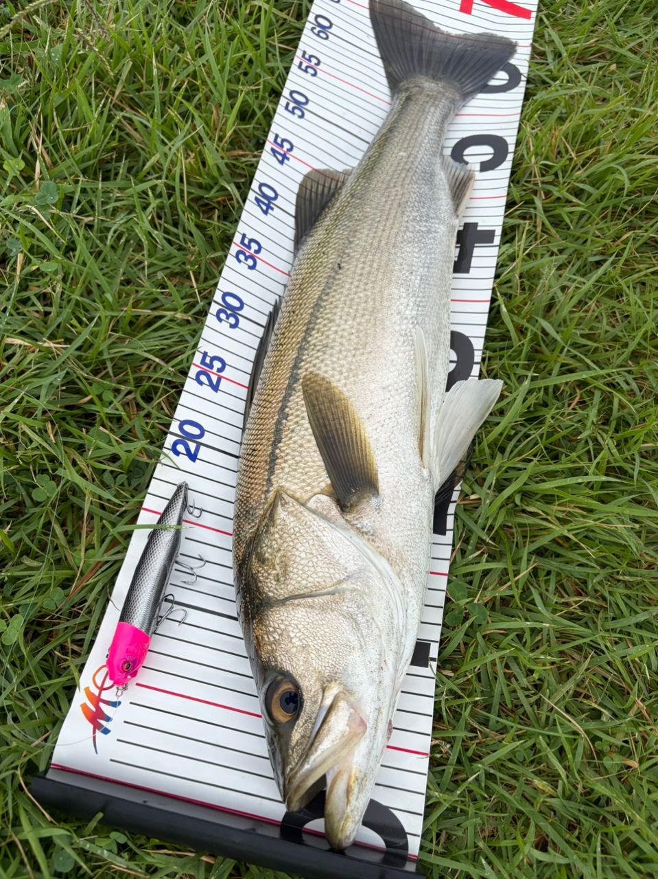 DAIWA 21ラブラックス AGS 93Mの最安値・インプレ・釣果 | 本音の