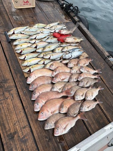 ネイリの釣果