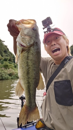 ブラックバスの釣果