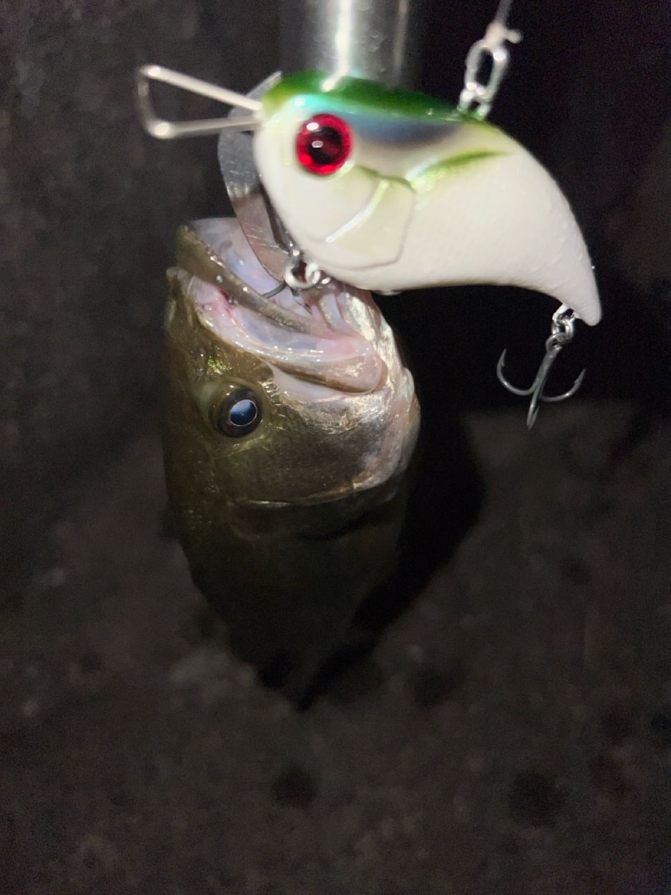 SHIMANO 18ポイズン アドレナ 172Mの最安値・インプレ・釣果 | 本音の