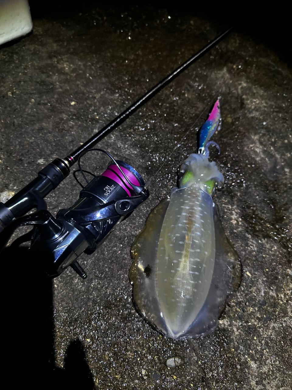 SHIMANO ピットブル 8+ 0.6号/トレーサブルピンク/200mの最安値
