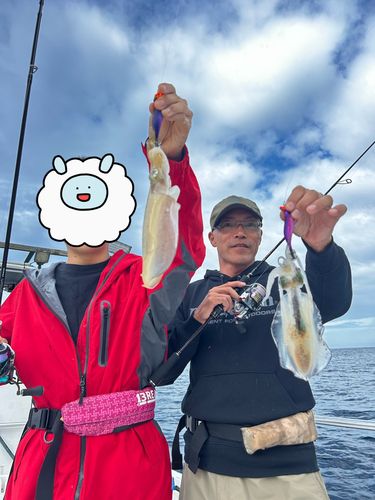 コウイカの釣果