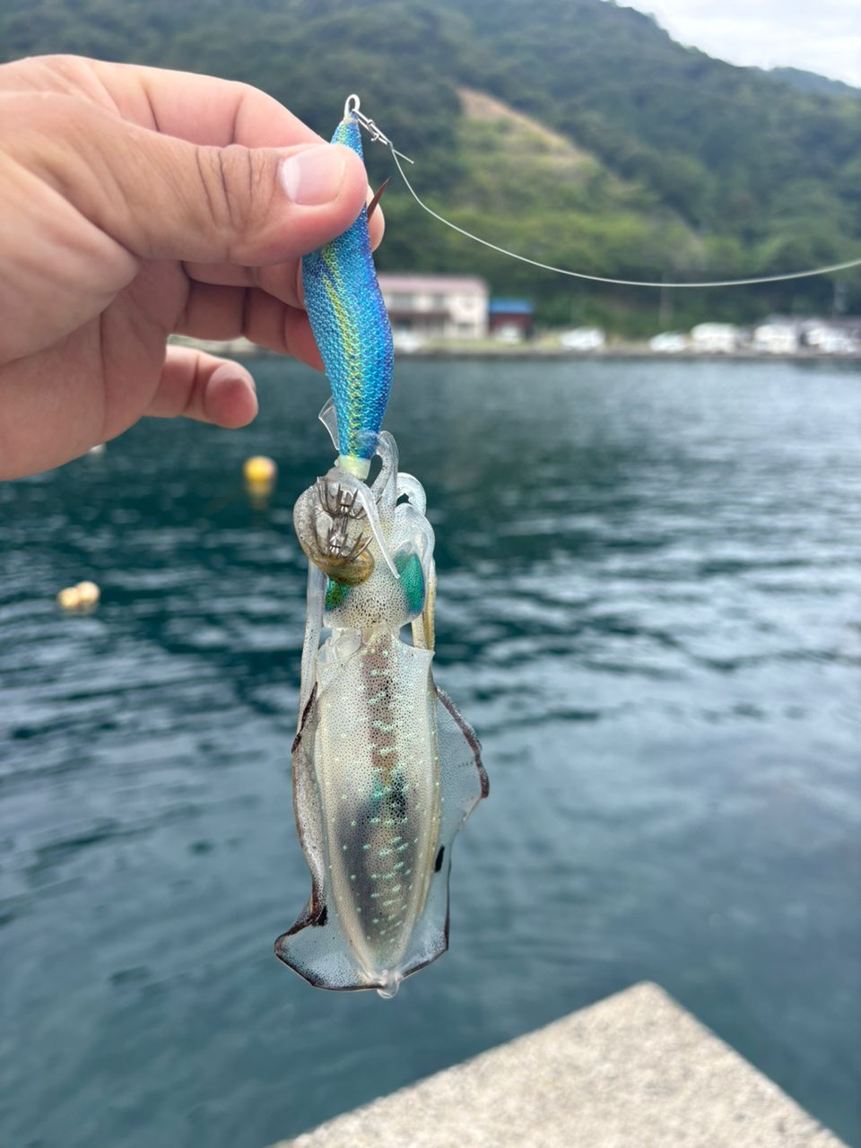 AbuGarcia クロスフィールド XRFS-802MLの最安値・インプレ・釣果