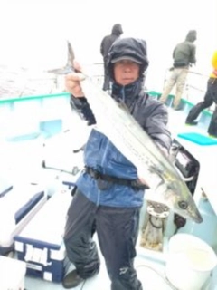 サワラの釣果