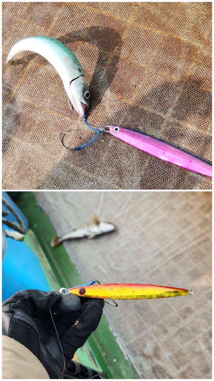 SHIMANO 19グラップラー タイプJ ベイト B60-3の最安値・インプレ