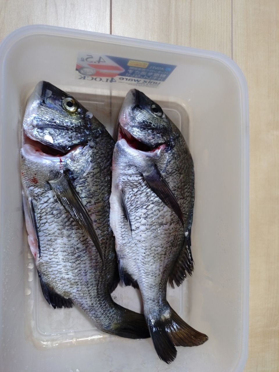 DAIWA 19チヌマスター 90の最安値・インプレ・釣果 | 本音の口コミが