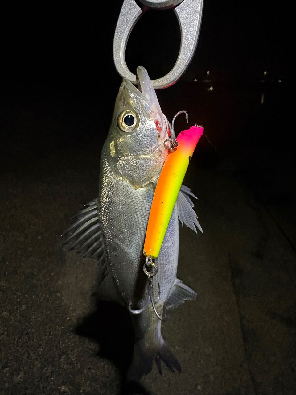 DAIWA 21ラブラックス AGS 96MLの最安値・インプレ・釣果 | 本音の