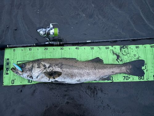 釣果