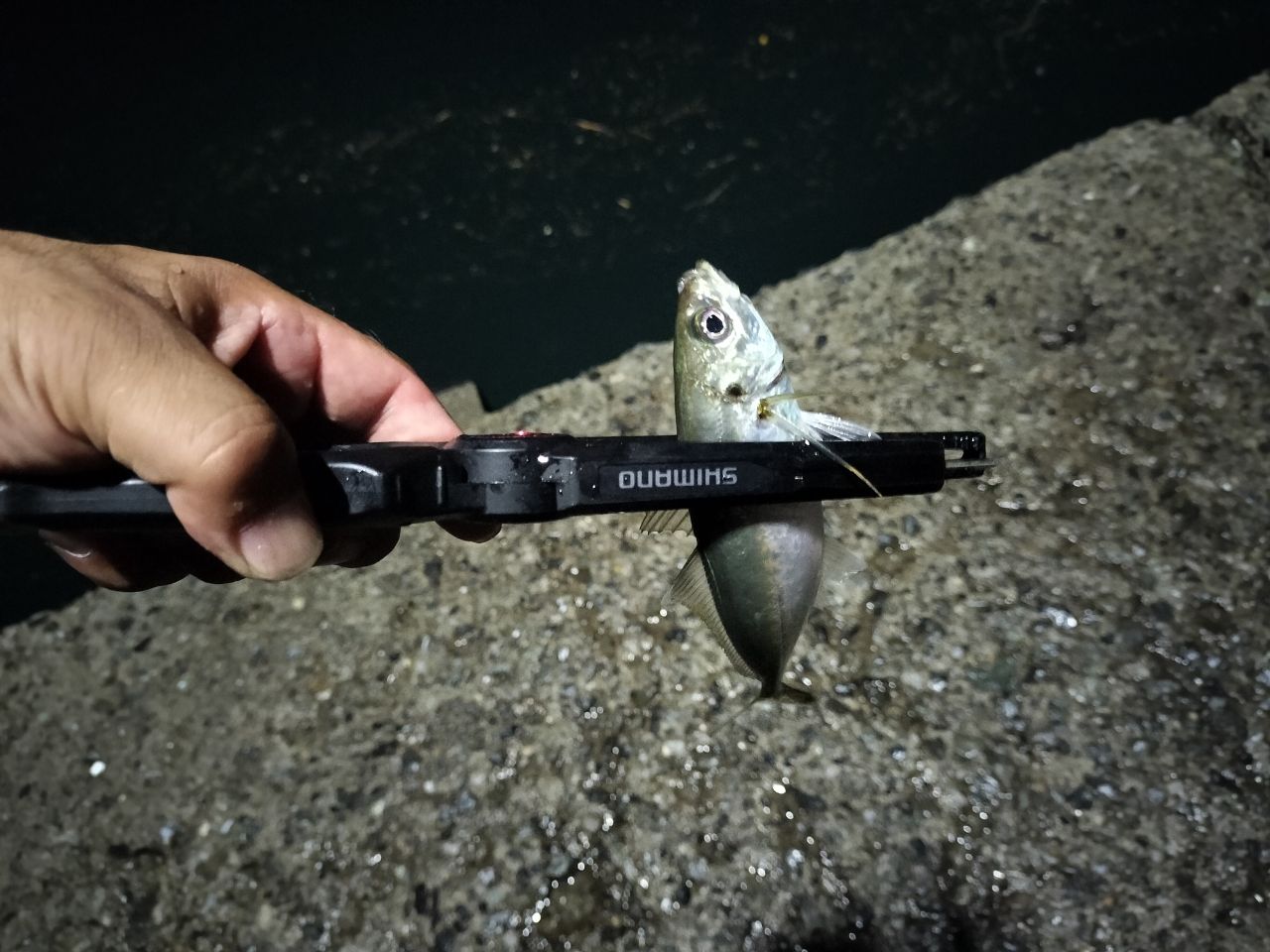 SHIMANO 20ソアレ エクスチューン S64UL+-Sの最安値・インプレ・釣果