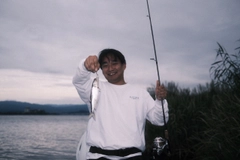 ハスの釣果