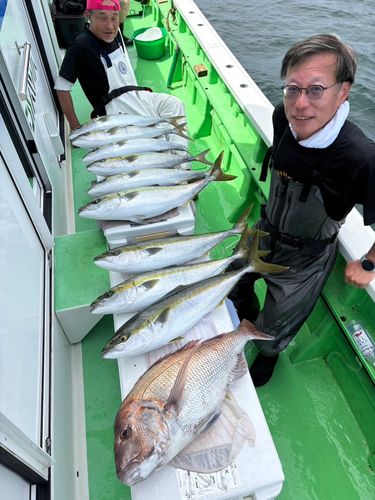 ワラサの釣果