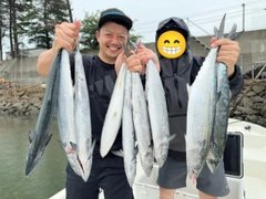 サゴシの釣果