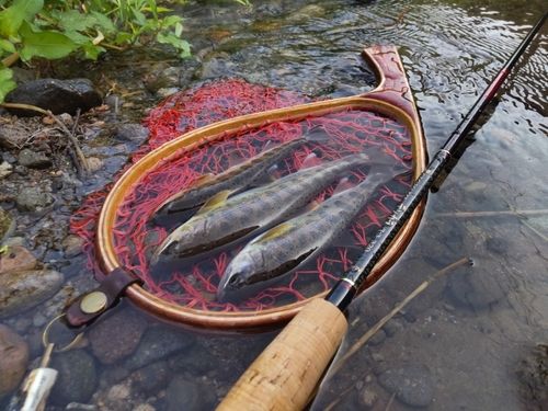 釣果一覧】福岡県で釣れたトラウト - アングラーズ | 釣果600万件の