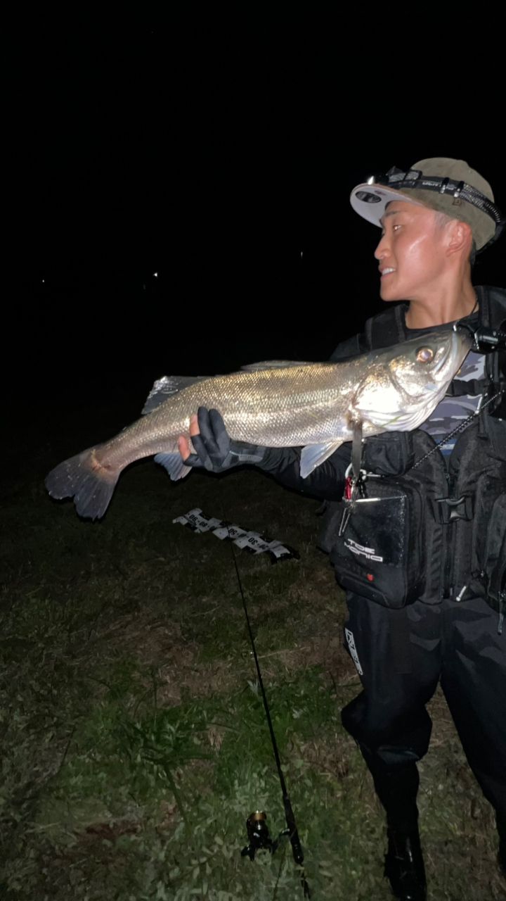 SHIMANO 23ディアルーナ S96MHの最安値・インプレ・釣果 | 本音の