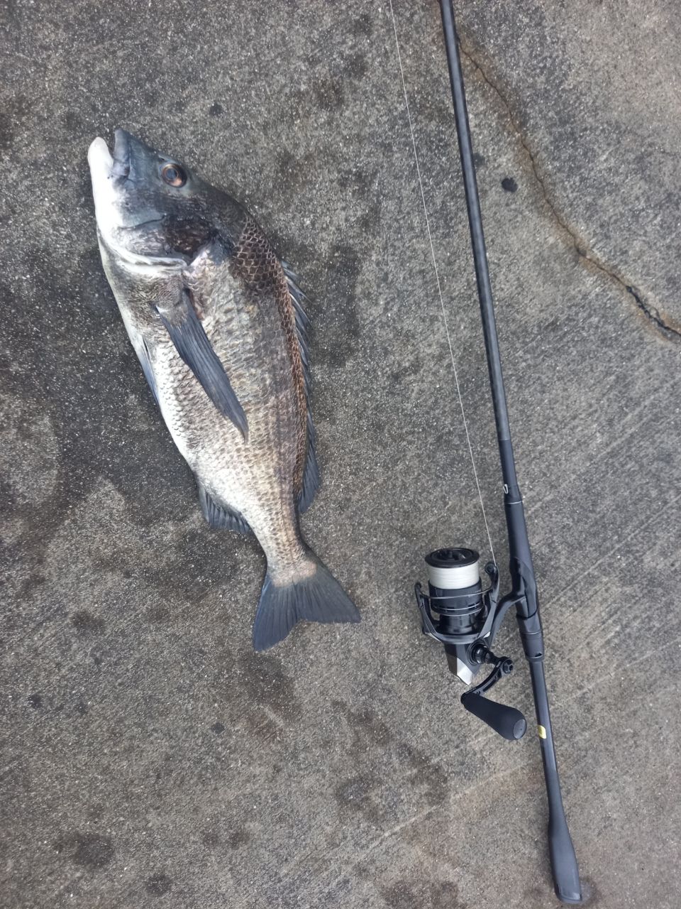 SHIMANO 22エクスセンス ∞ (インフィニティ) S100MHの最安値