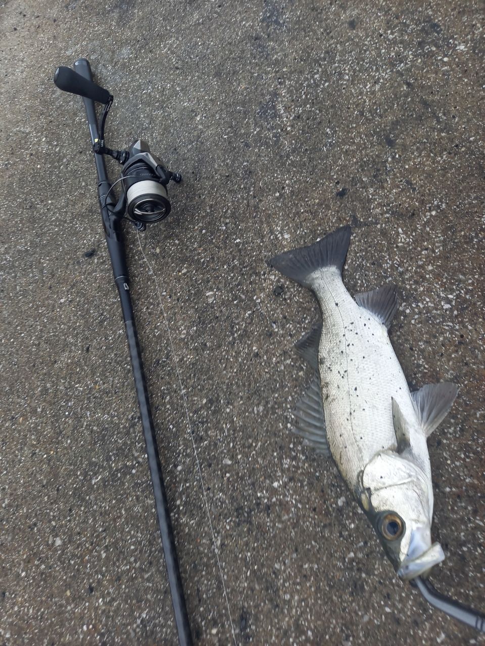 SHIMANO 22エクスセンス ∞ (インフィニティ) S100MHの最安値