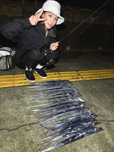 タチウオの釣果