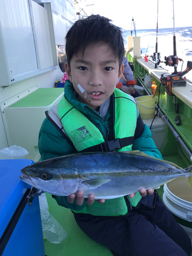 イナダの釣果