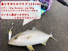 ショッコの釣果