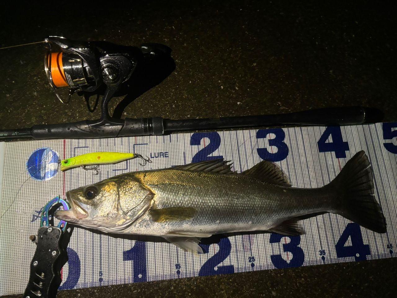 SHIMANO 23ディアルーナ S96MLの最安値・インプレ・釣果 | 本音の