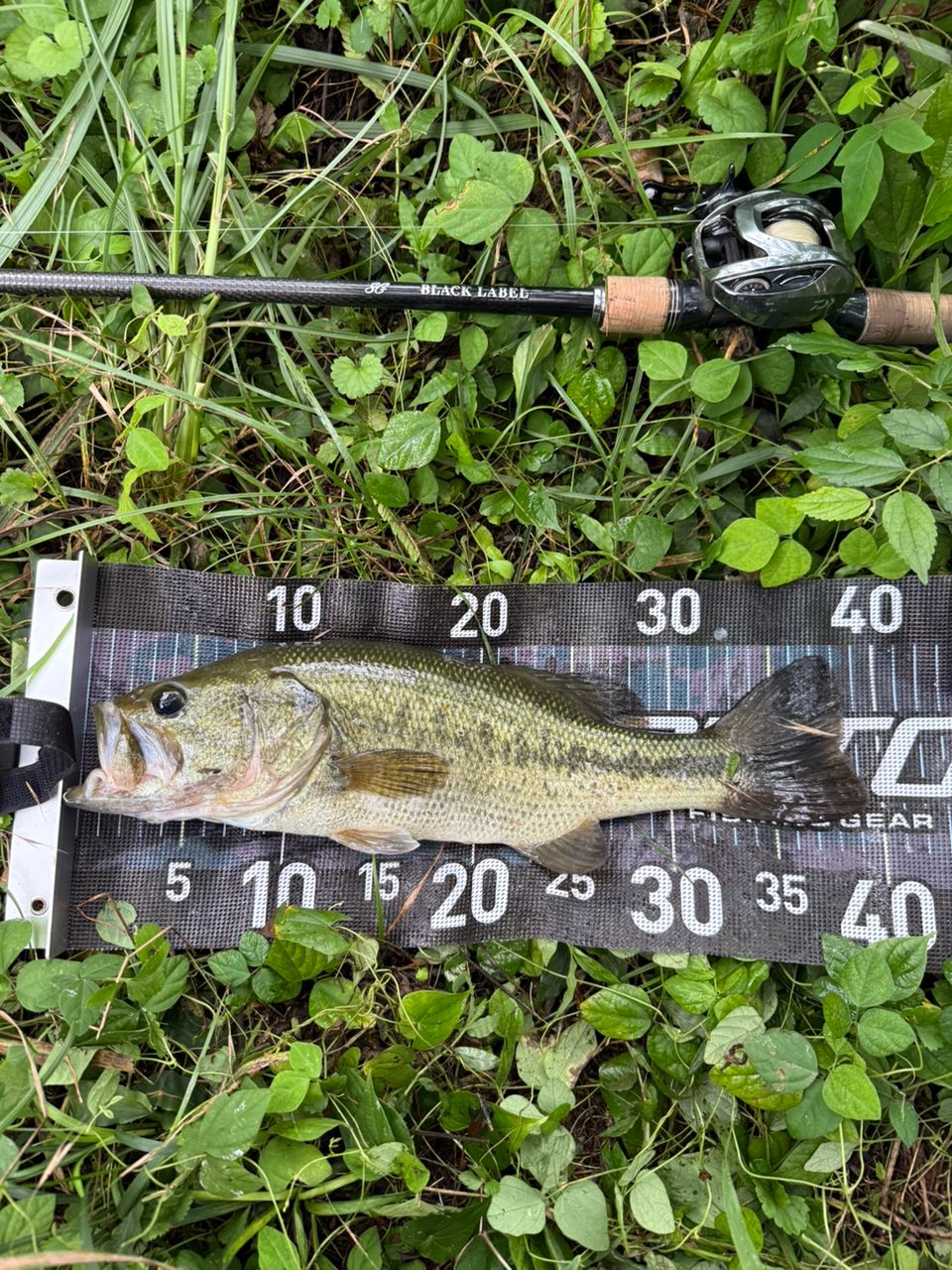 DAIWA 19ブラックレーベル SG 671MHFB-FRの最安値・インプレ・釣果