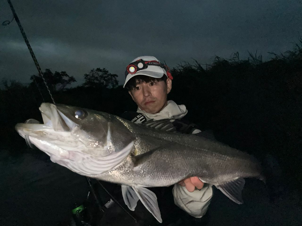 SHIMANO 18ディアルーナ S96MLの最安値・インプレ・釣果 | 本音の
