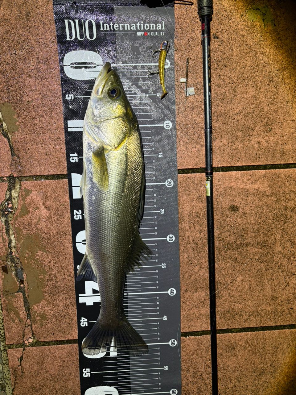 SHIMANO 22ステラ 4000MHGの最安値・インプレ・釣果 | 本音の口コミが