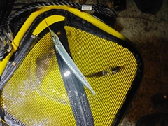 サヨリの釣果